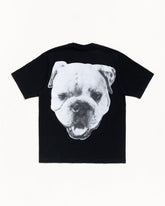 BIG DOG STONE WASHED TEE