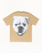 BIG DOG STONE WASHED TEE
